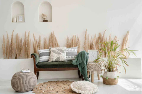 From Humble Beginnings to Global Brand: The Sashaa World Story