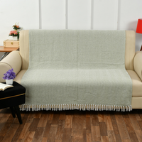 Spring-Hued Chevron Throw