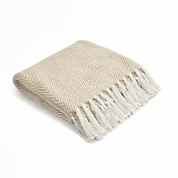 Spring-Hued Chevron Throw