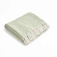 Spring-Hued Chevron Throw