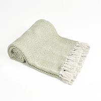 Spring-Hued Chevron Throw