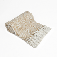 Spring-Hued Chevron Throw