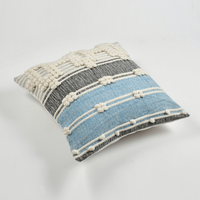 Blue Cotton Cushion Cover