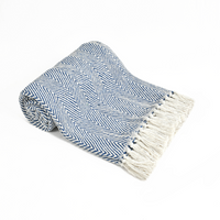 Spring-Hued Chevron Throw