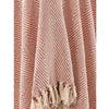 Spring-Hued Chevron Throw