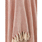 Spring-Hued Chevron Throw