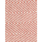 Spring-Hued Chevron Throw