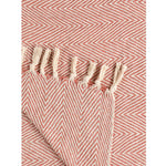 Spring-Hued Chevron Throw