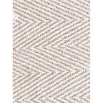 Spring-Hued Chevron Throw