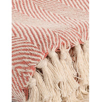 Spring-Hued Chevron Throw